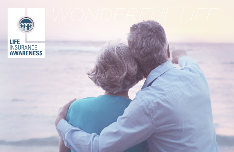 Its a Wonderful Life Income