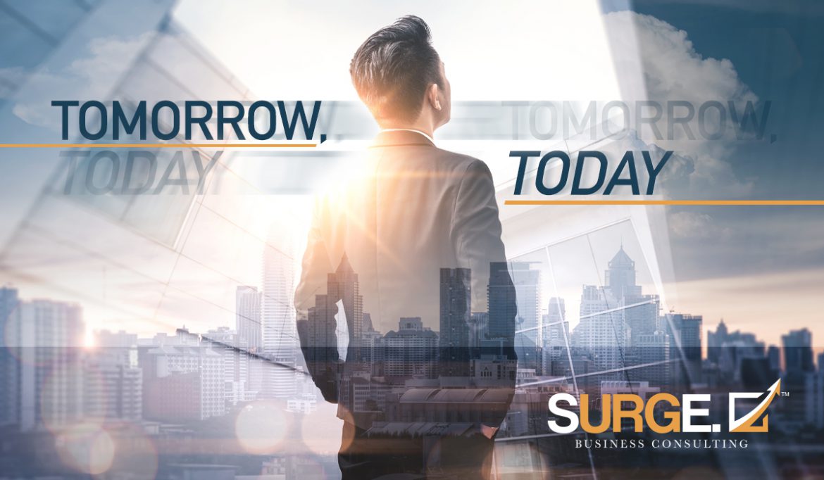 Advisor looking out Surge Business Consulting blog