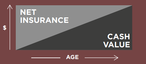 graph displaying net insurance compared to cash value