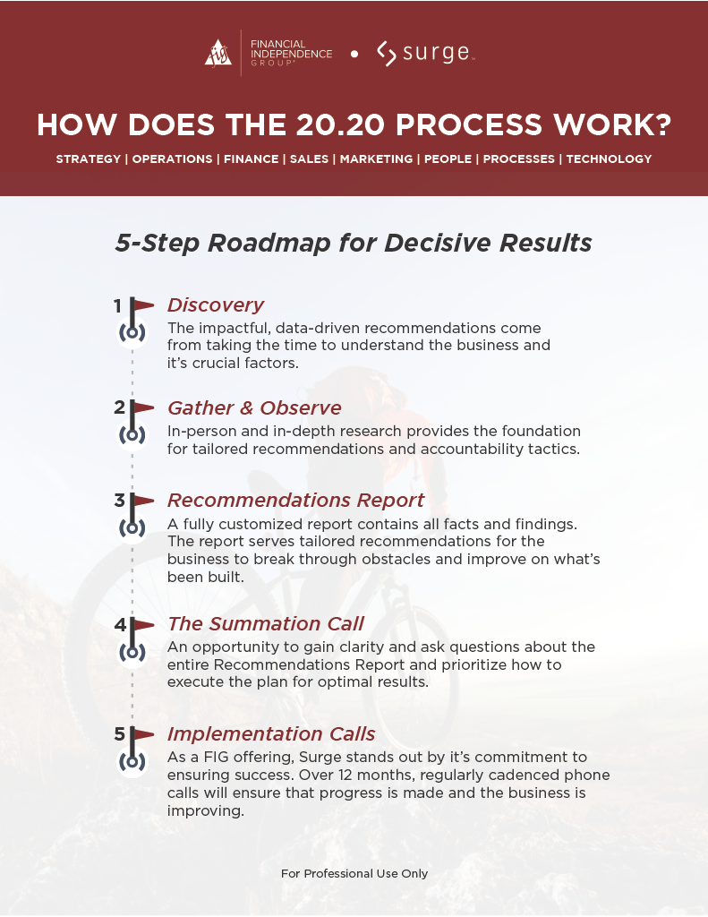 infographic outlining the Surge 20.20 Process for business development